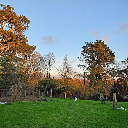 Keryerna Ar C'Haouled "Aux Hortensias" Clevacance Saint-Méen Exteriör bild